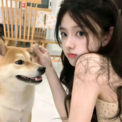 笼子在寻找小鸟