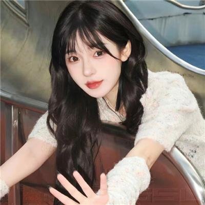 军犬麦克斯2:白宫英雄
