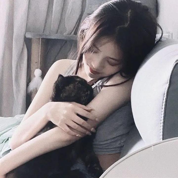 败犬求婚日